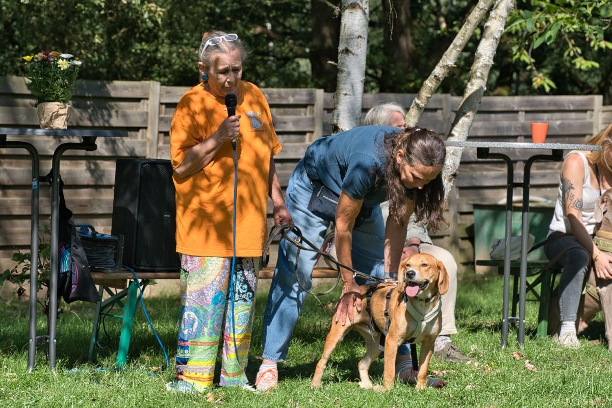 Krambambulli Sommerfest