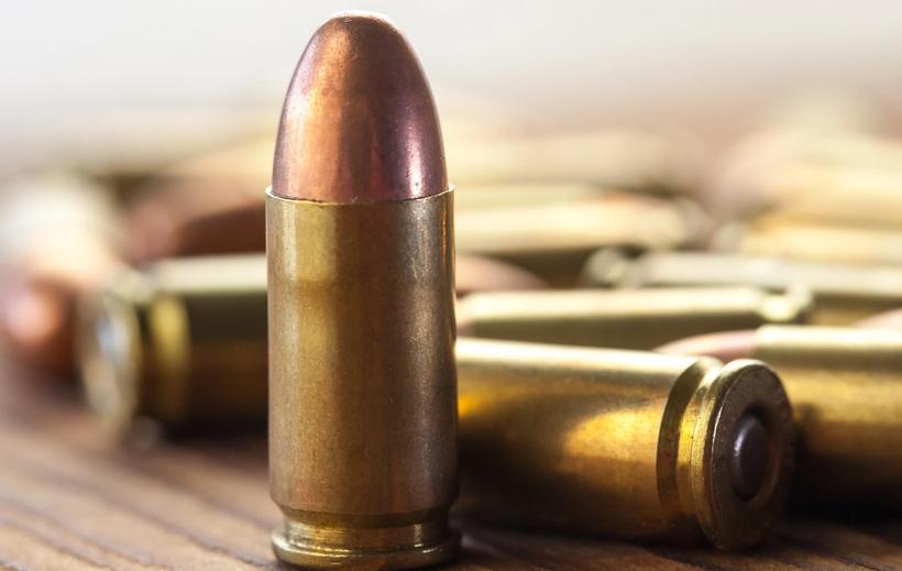 The 9mm Parabellum—A Perfect Home-Defense Cartridge? Part I | Biofire