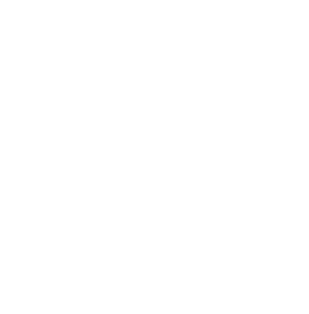 agentic AI
