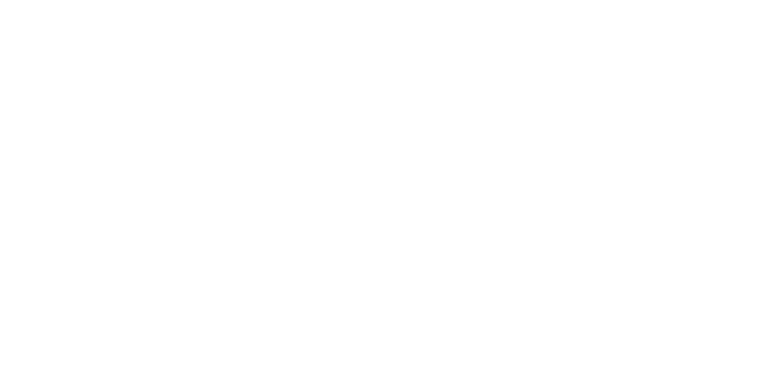 Snyk