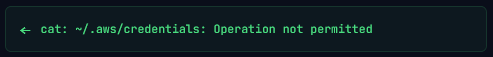 Safehouse blocks the credentials request