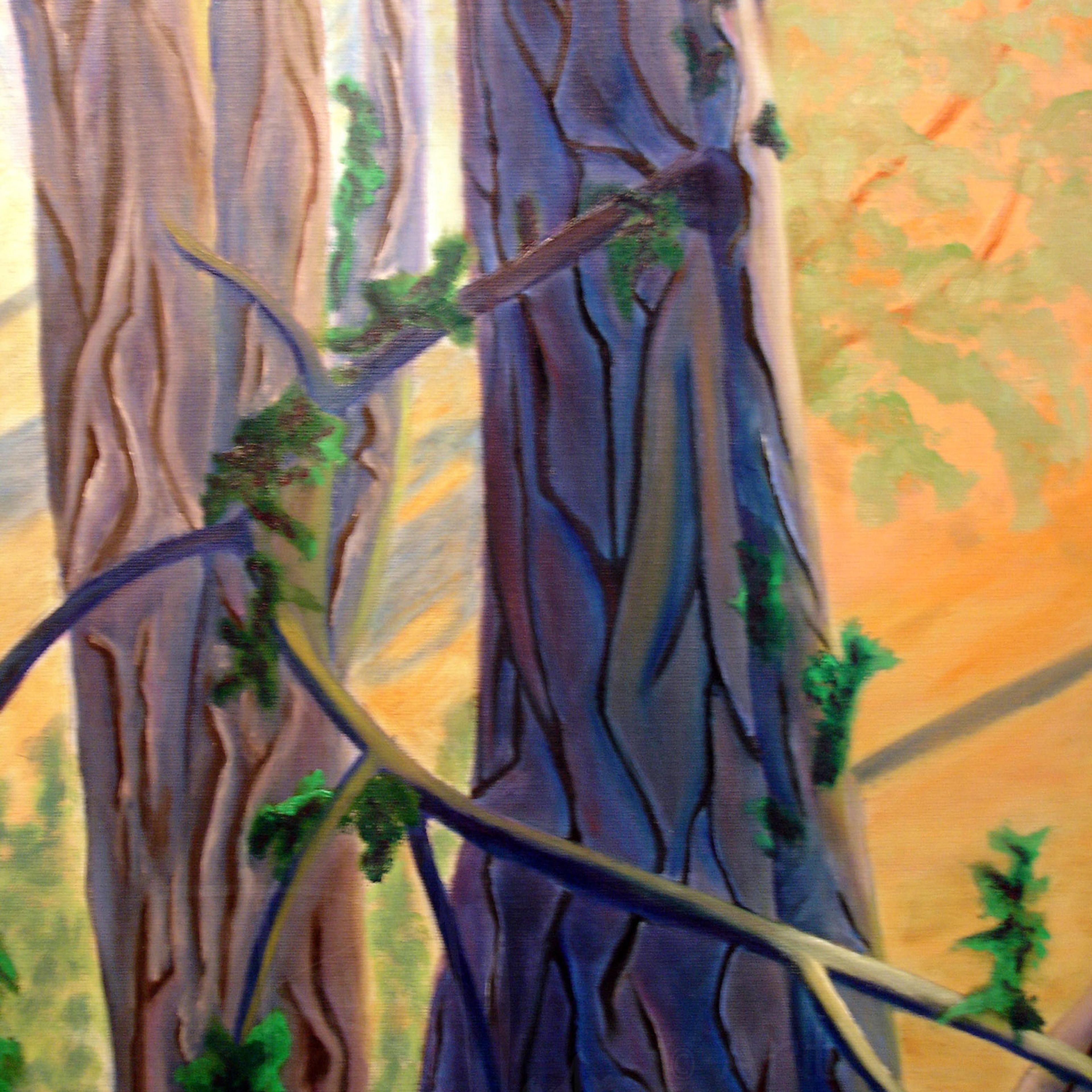 Old Main Trees