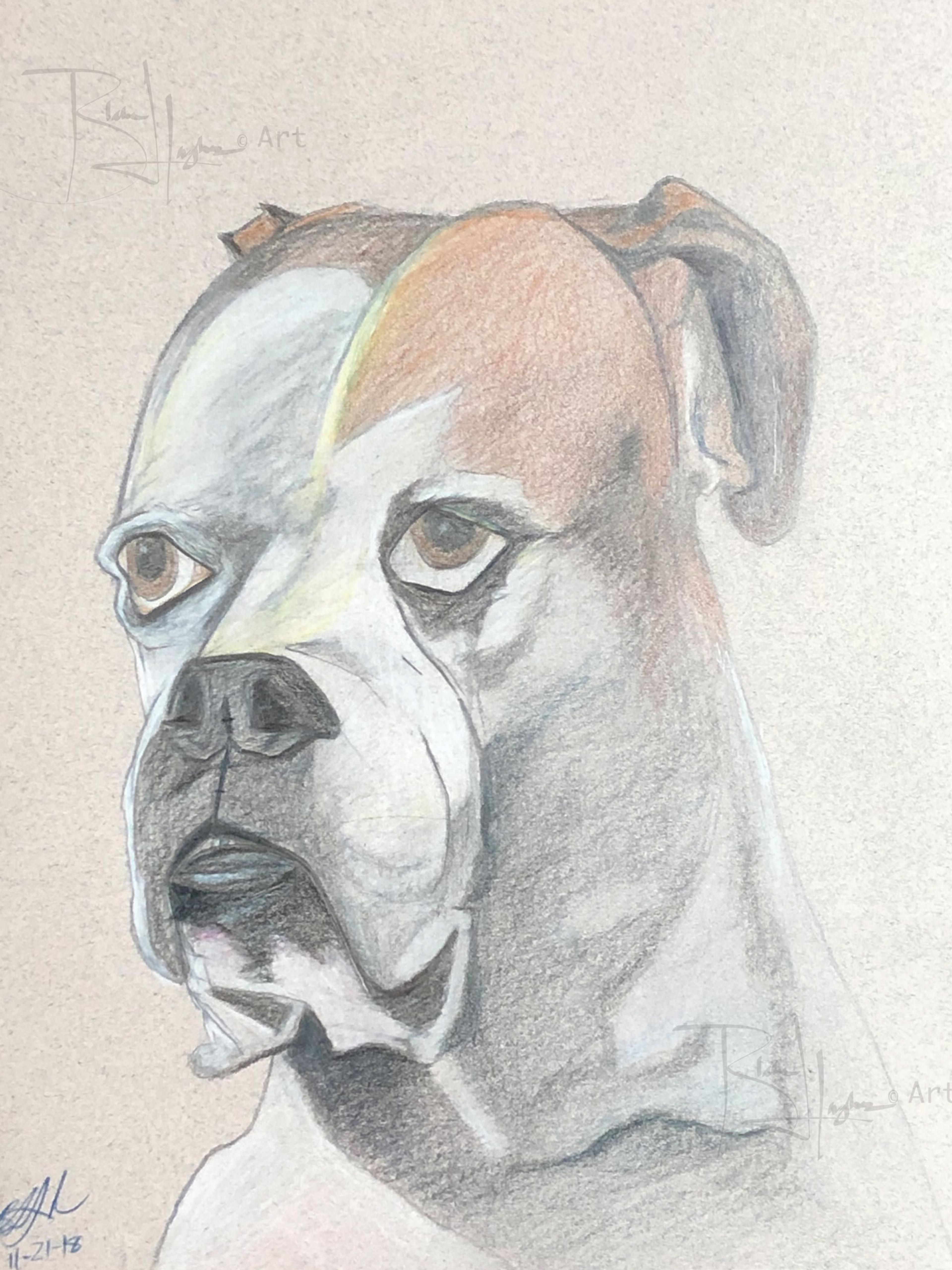 Portrait of Kane