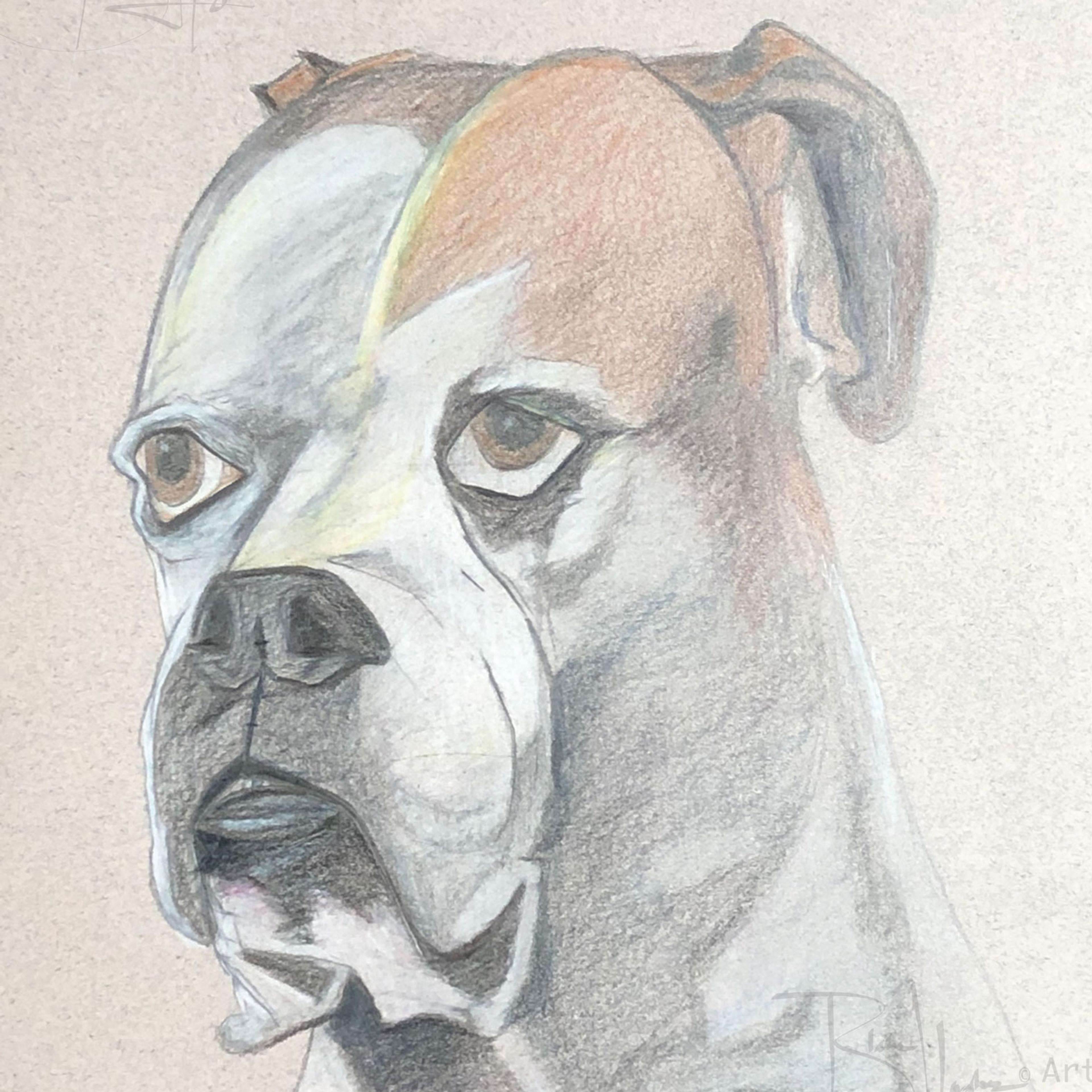 Portrait of Kane