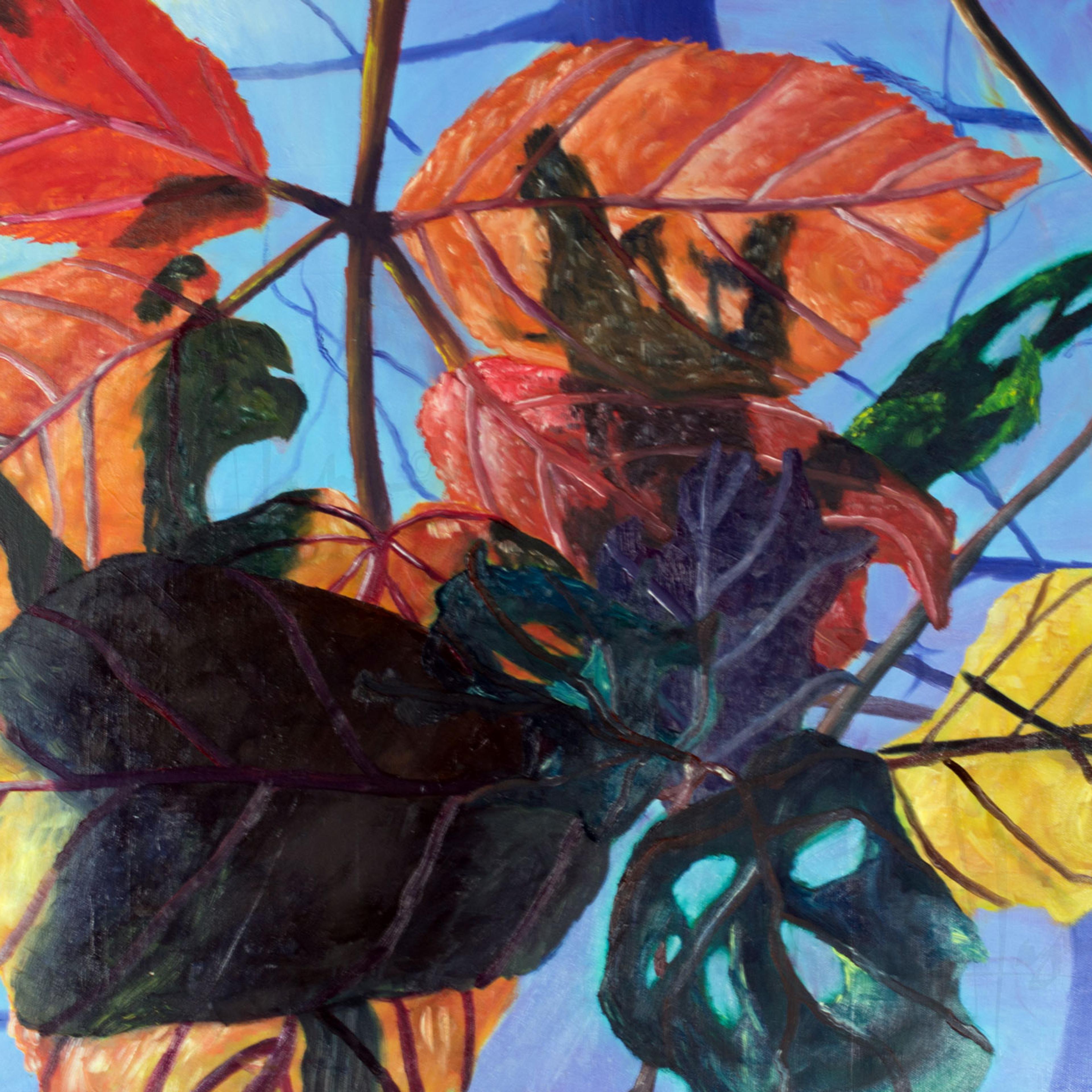 Leaves 1