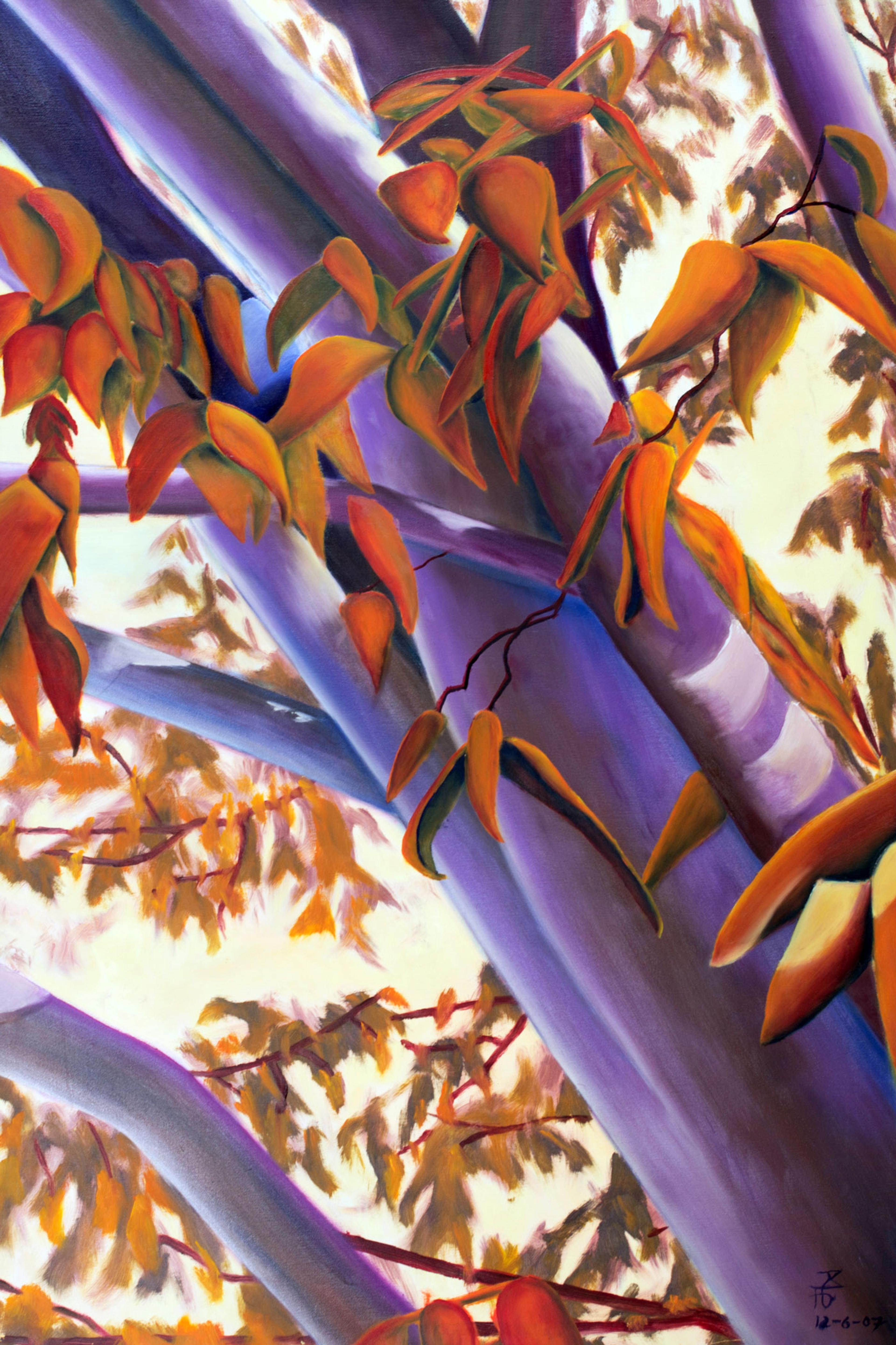 Fall Trees
