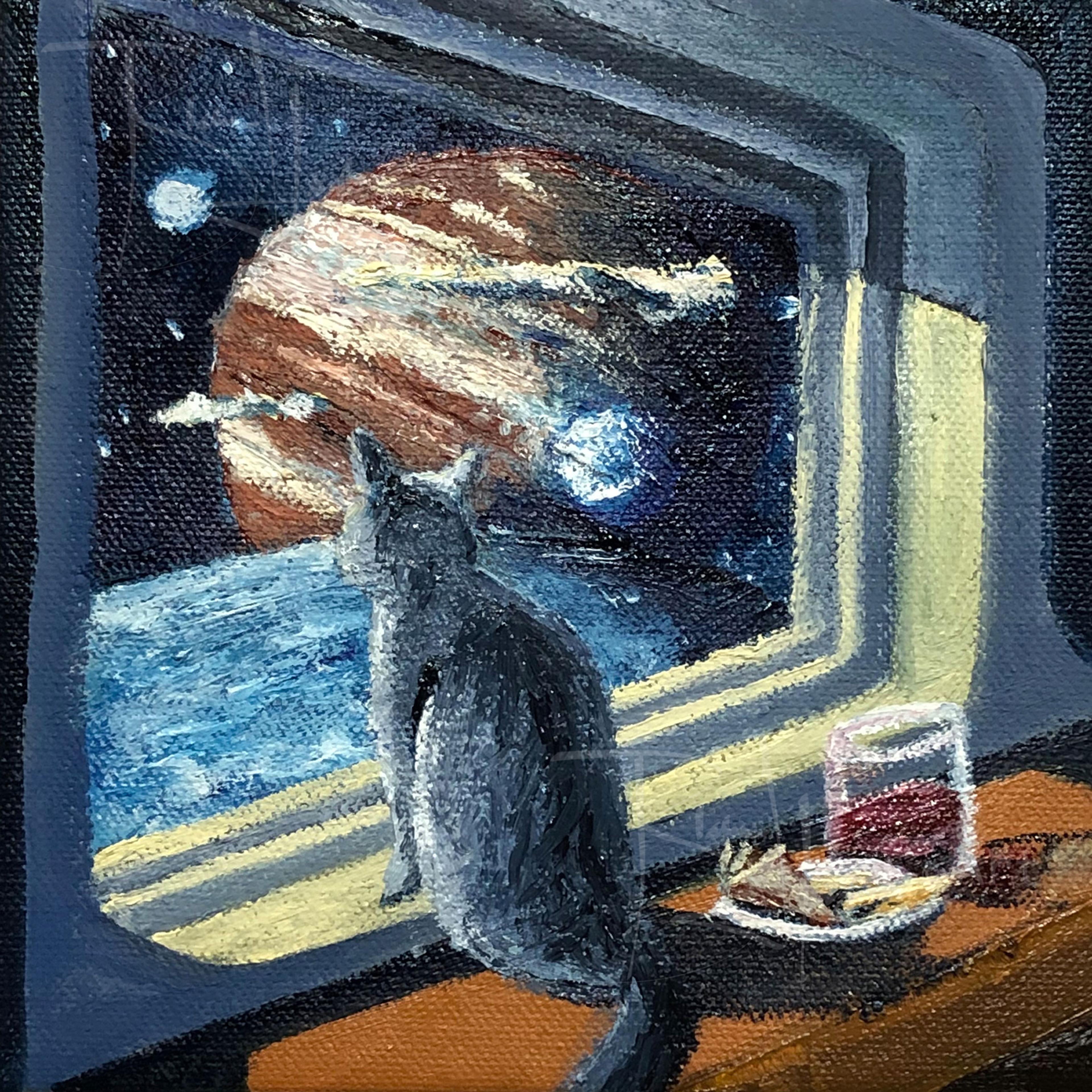 Space cat