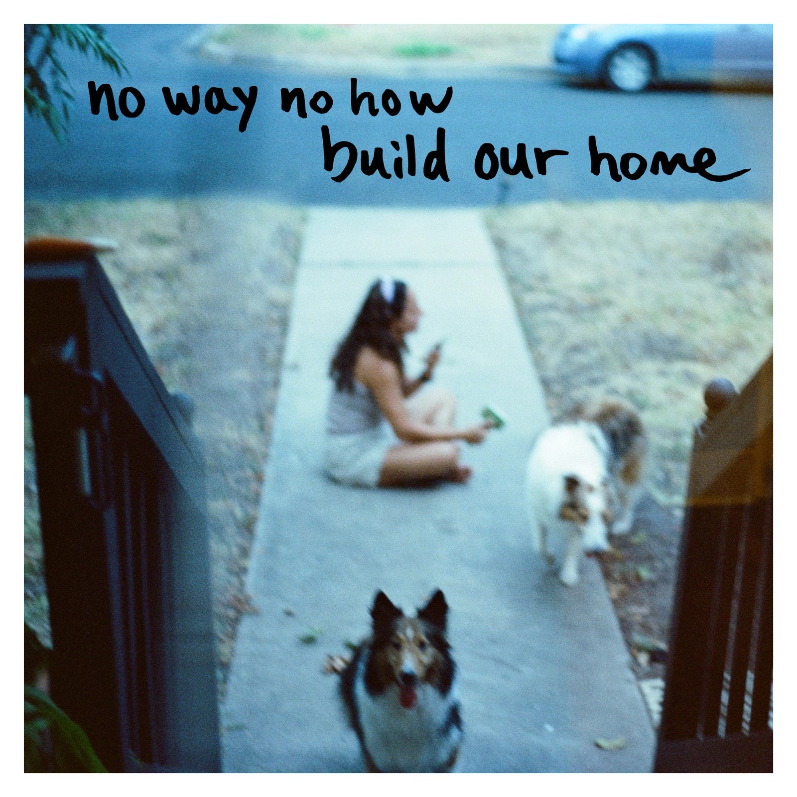 a woman sits on a sidewalk with two dogs and says " no way no how build our home "