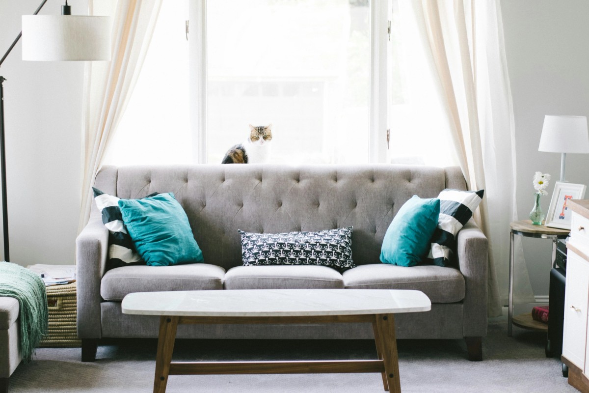 a living room with a couch and a coffee table .