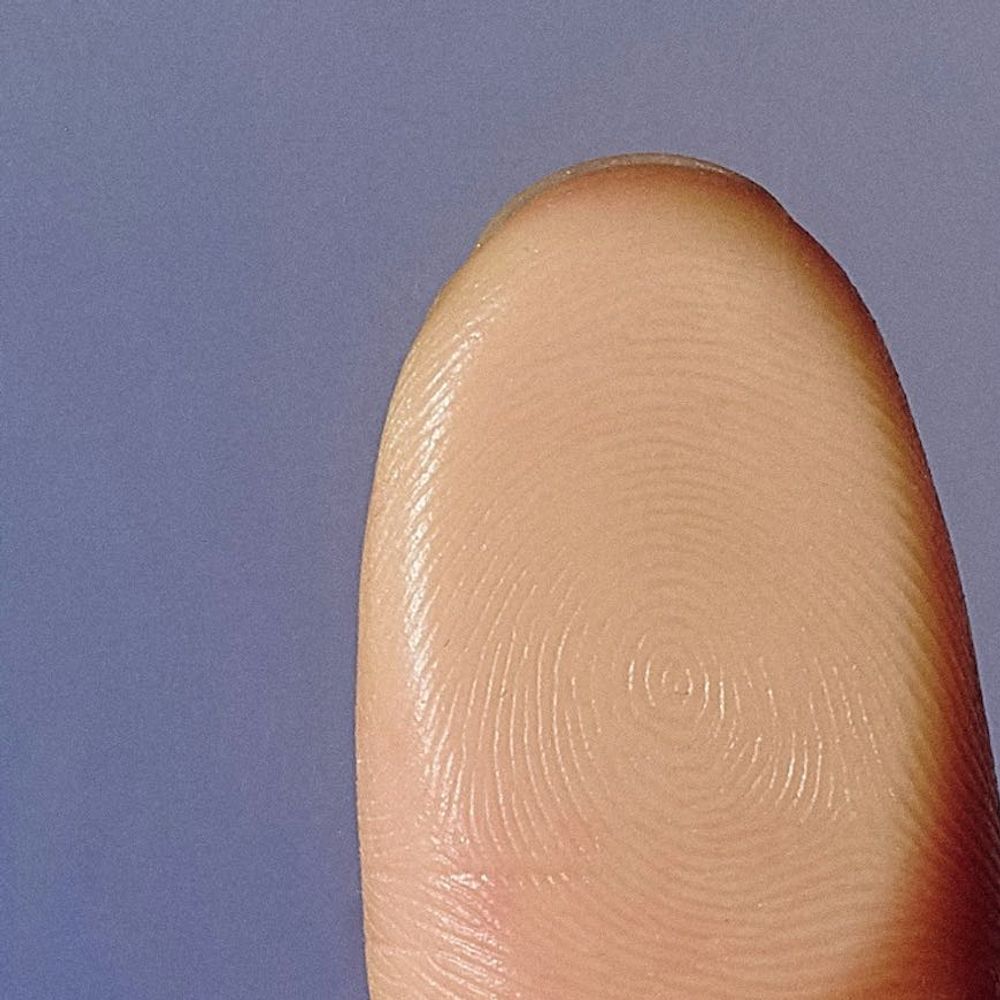 Identity verification