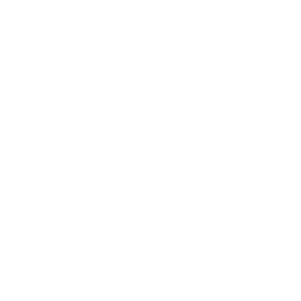Grupo Zicav