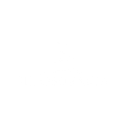 Reposubasta