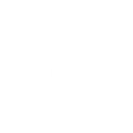 IT Support & Discloud