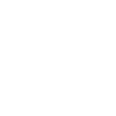 Altra CX