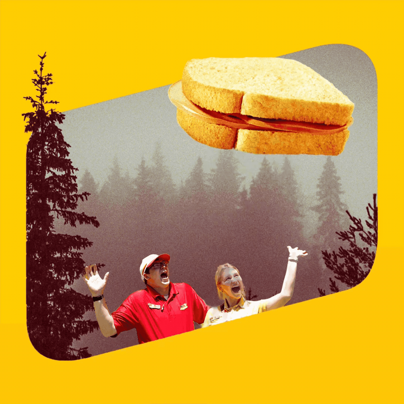 Flying bologna sandwich
