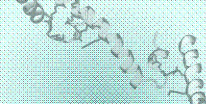 Cathelicidin LL-37