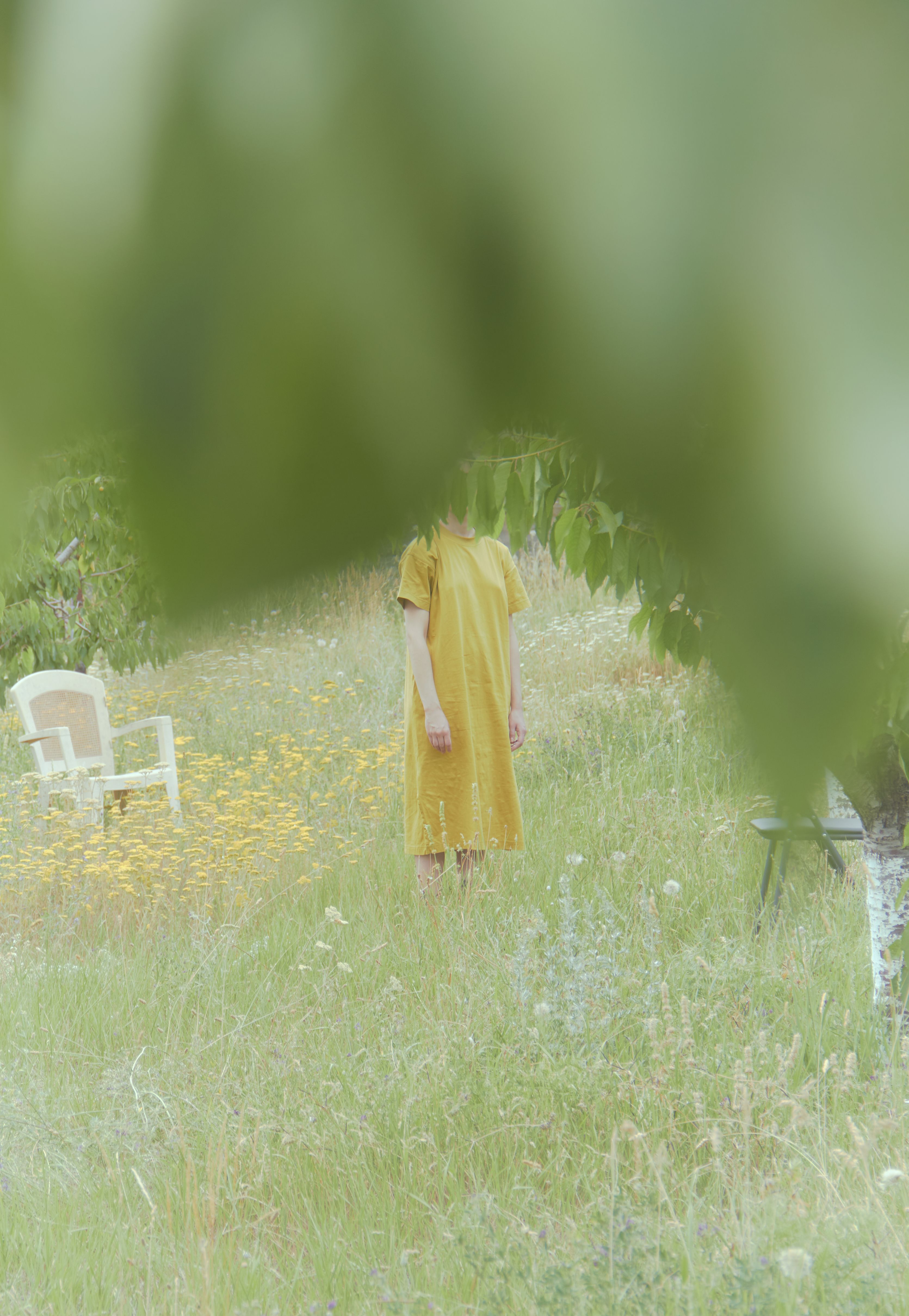 Աննայի այգին