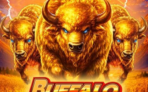 Buffalo Blitz III