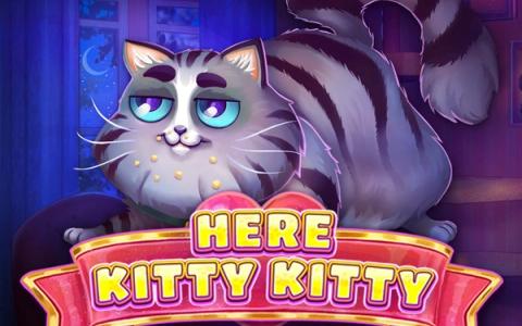 Here Kitty Kitty