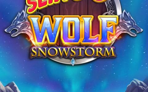 Slingo Wolf Snowstorm