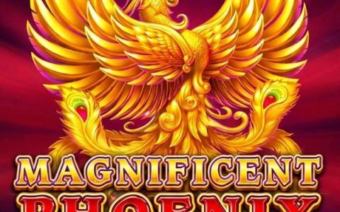 Magnificent Phoenix