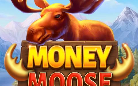 Money Moose