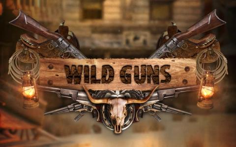Wild Guns