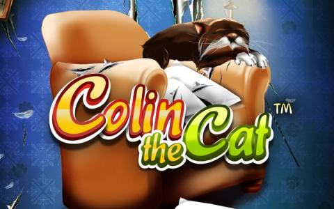 Colin The Cat