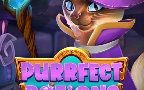 Purrfect Potions
