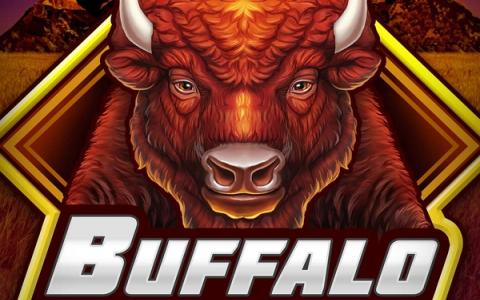 Buffalo Bucks