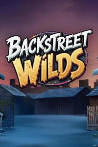 Backstreet Wilds – DreamSpin