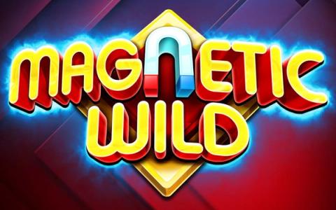 Magnetic Wild