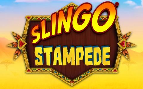 Slingo Stampede