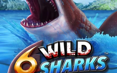 6 Wild Sharks