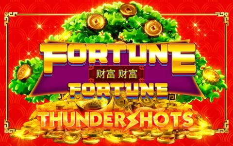Fortune Fortune: Thundershots