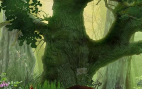 Lady Of Robinhood