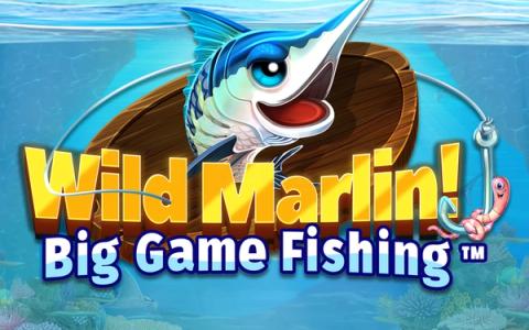 Wild Marlin! - Big Game Fishing
