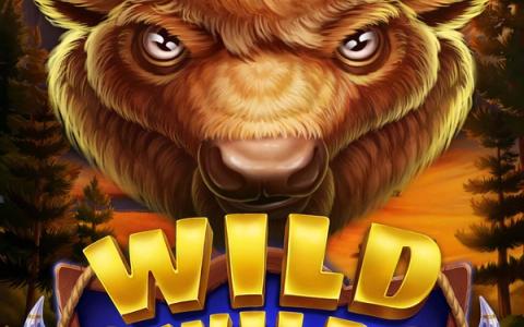 Wild Wild Bison
