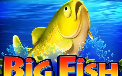 Big Fish – Swintt