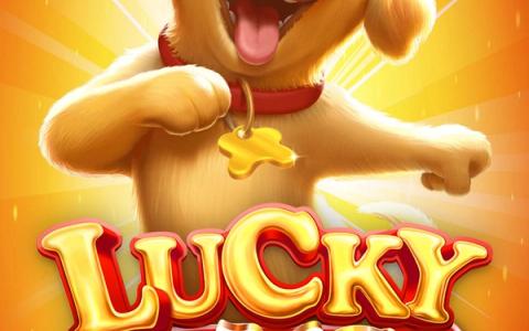 Lucky Dog