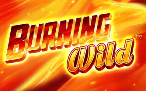 Burning Wild