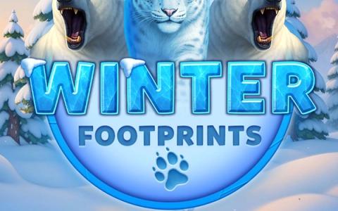 Winter Footprints