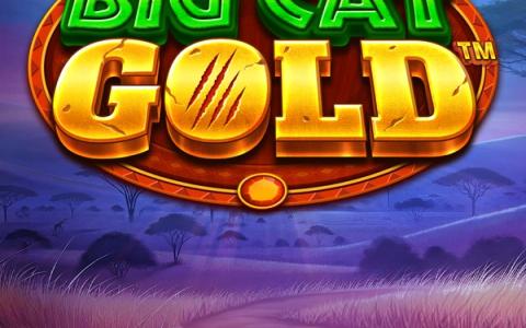 Big Cat Gold – Blueprint Gaming