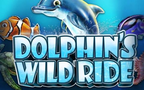Dolphin’s Wild Ride
