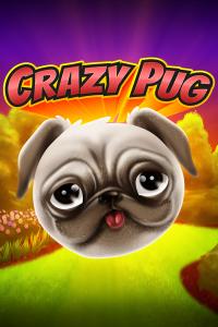 Crazy Pug – Swintt