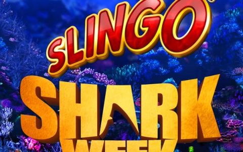 Slingo Shark Week