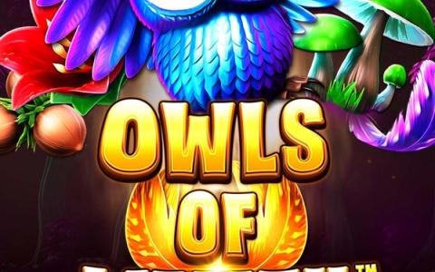 Owls of Wealth