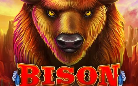 Bison Bonanza