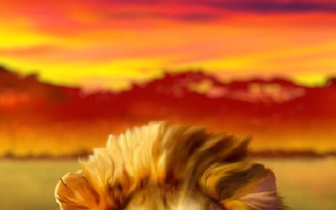 Lion Thunder
