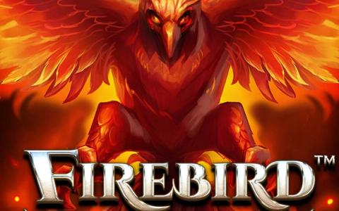 Firebird 81